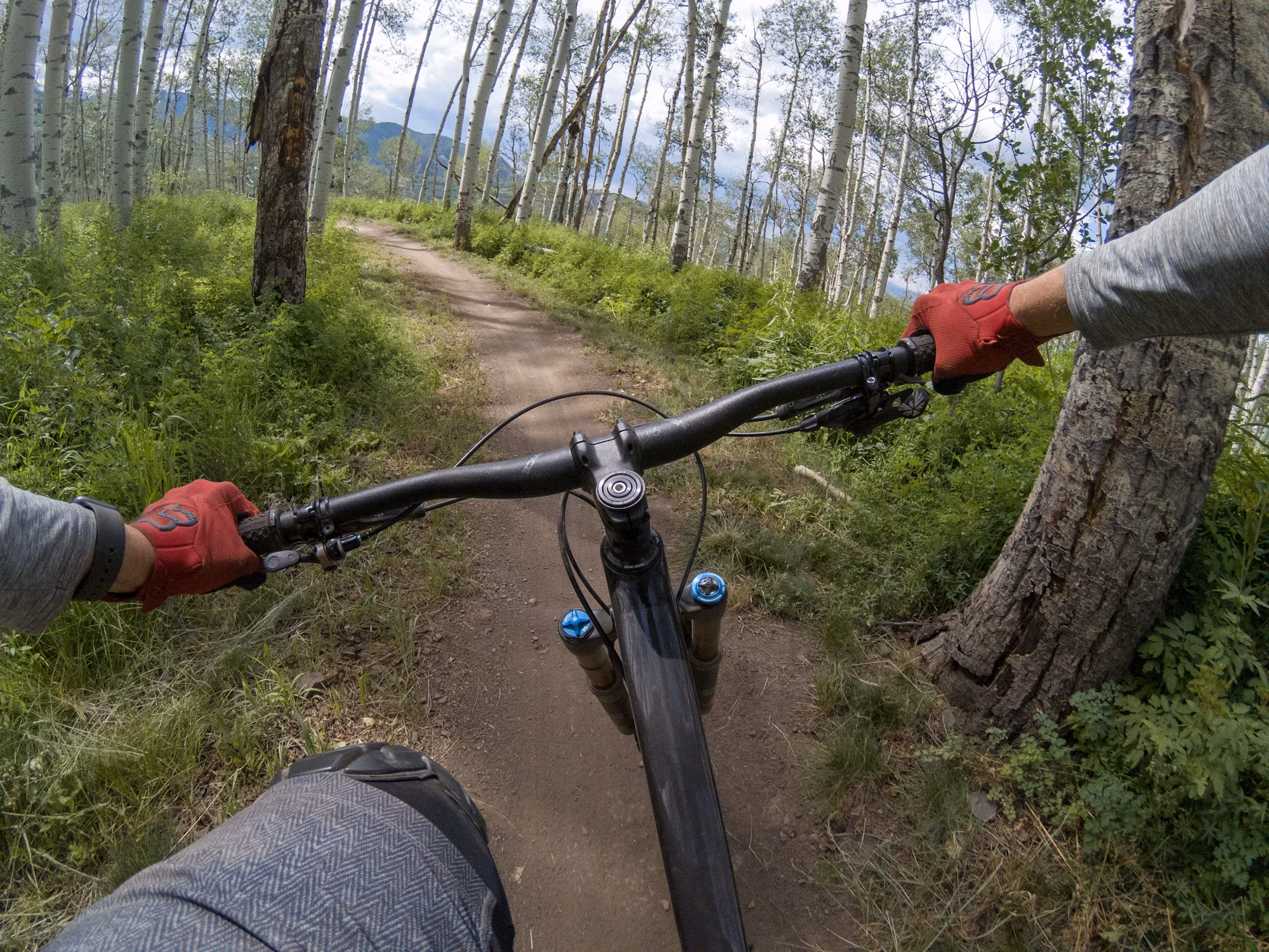 Cycling Adventures: Exploring Diverse Styles and Cultures
