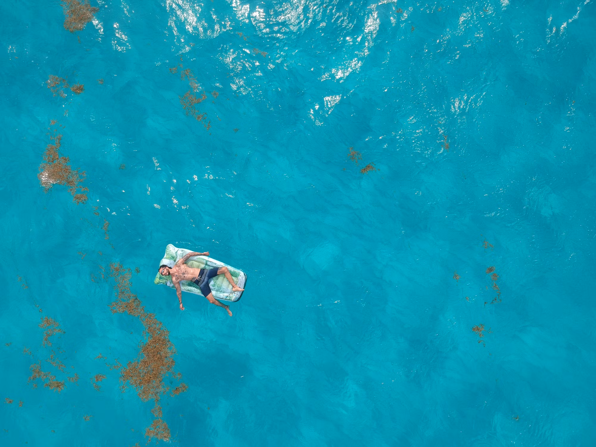 Discovering the Underwater World: A Guide to Diving Adventures